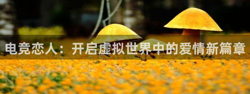 雷火电竞提款多久能到：电竞恋人：开启虚拟世界中的爱情新篇章