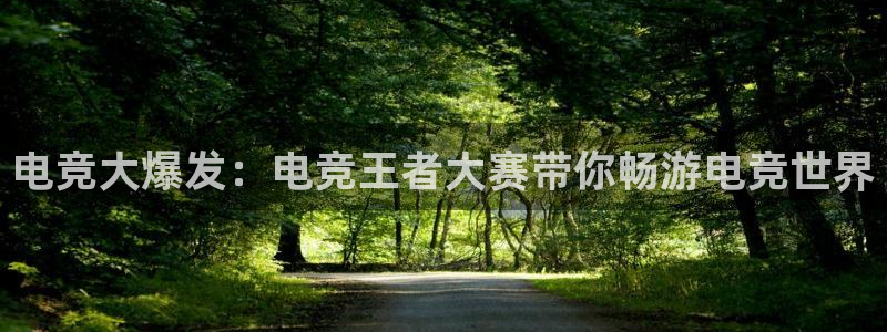 雷火电竞下载：电竞大爆发：电竞王者大赛带你畅游电竞世界